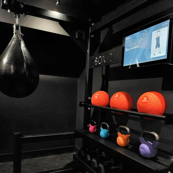 BOX12 Boxing Pod - GymSphere