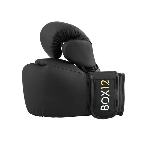 BOX12 Boxing Pod - GymSphere