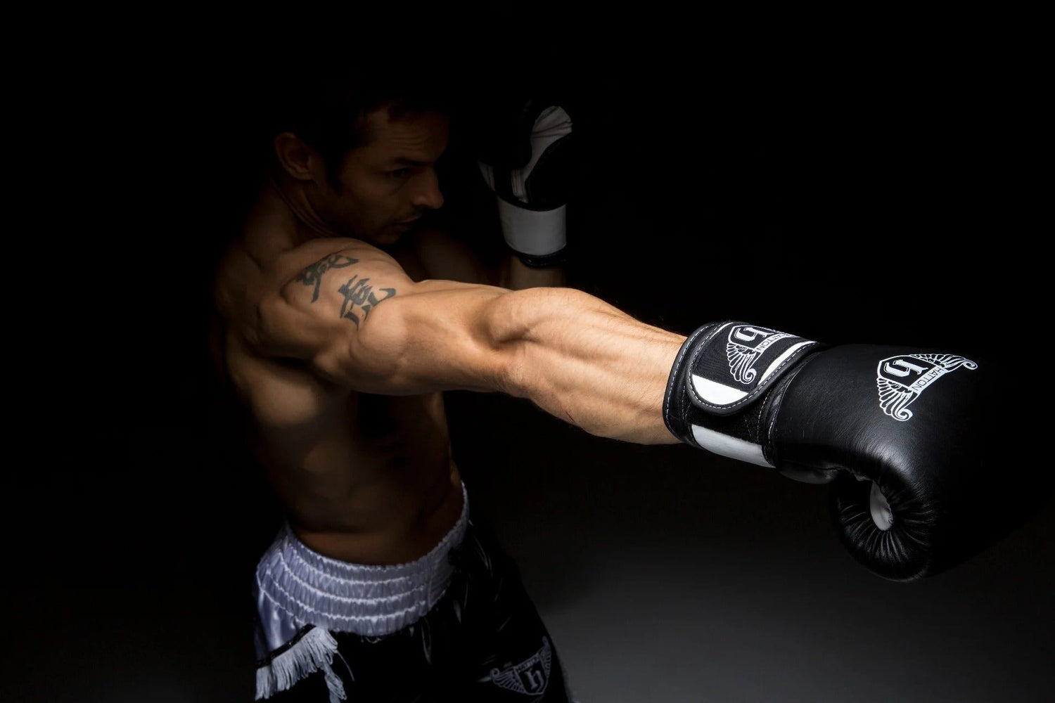 Combat & Boxing