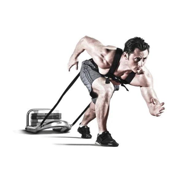 JORDAN Performance Sled and Harness - GymSphere