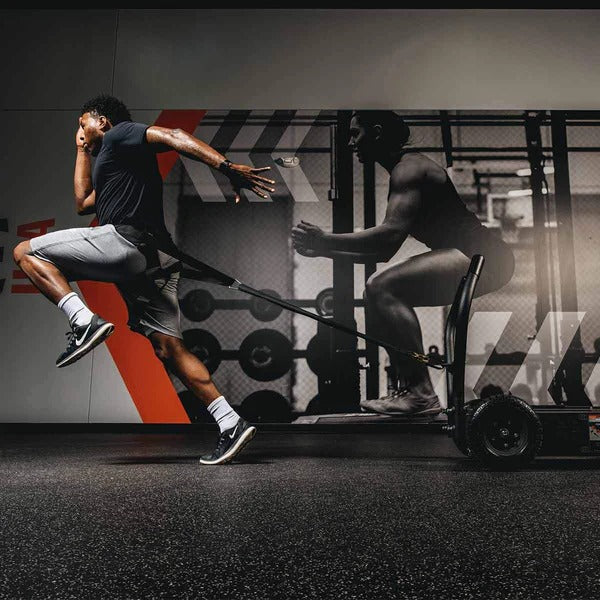 Torque TANK™ M4 - GymSphere